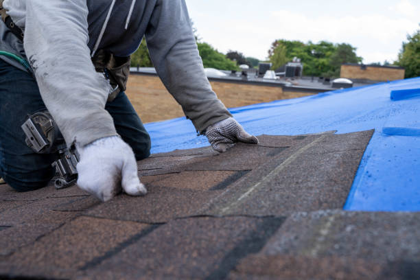 Quick and Trustworthy Emergency Roof Repair Services in Wolf Lake, MI